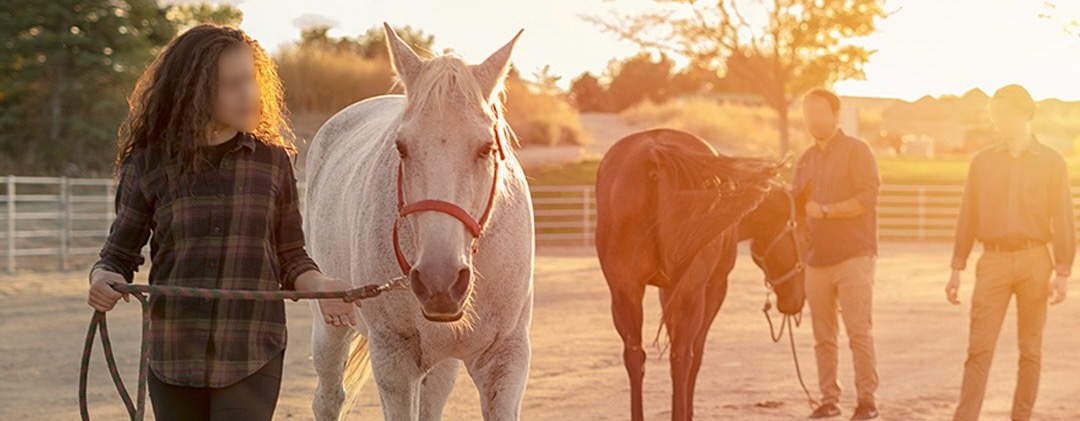 Wonderland charity foundation Campaign