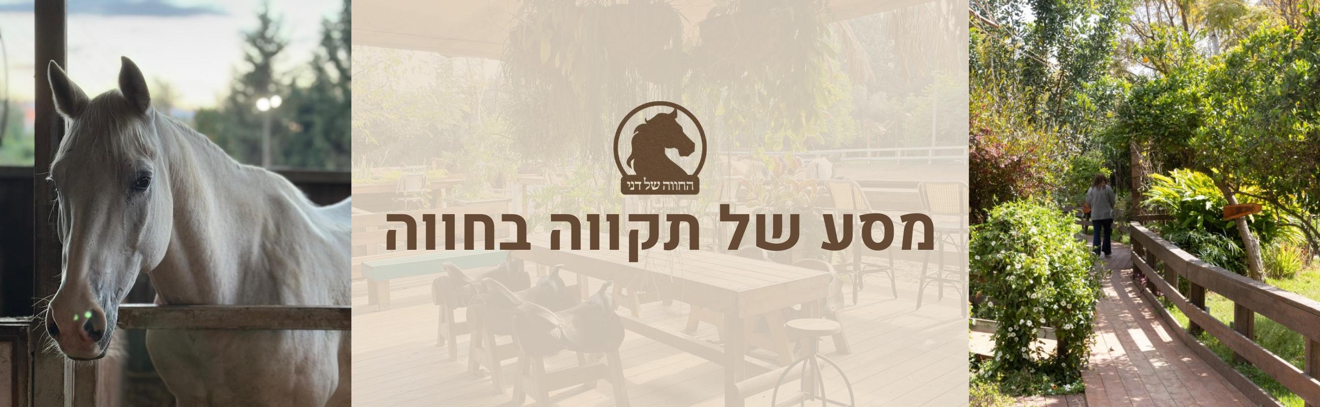 מסע של תקווה בחווה