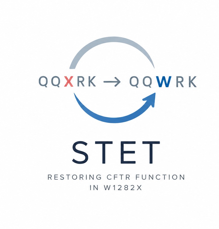 The Stet Project