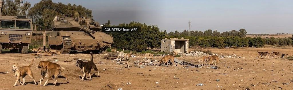 Adopt me Israel Campaign