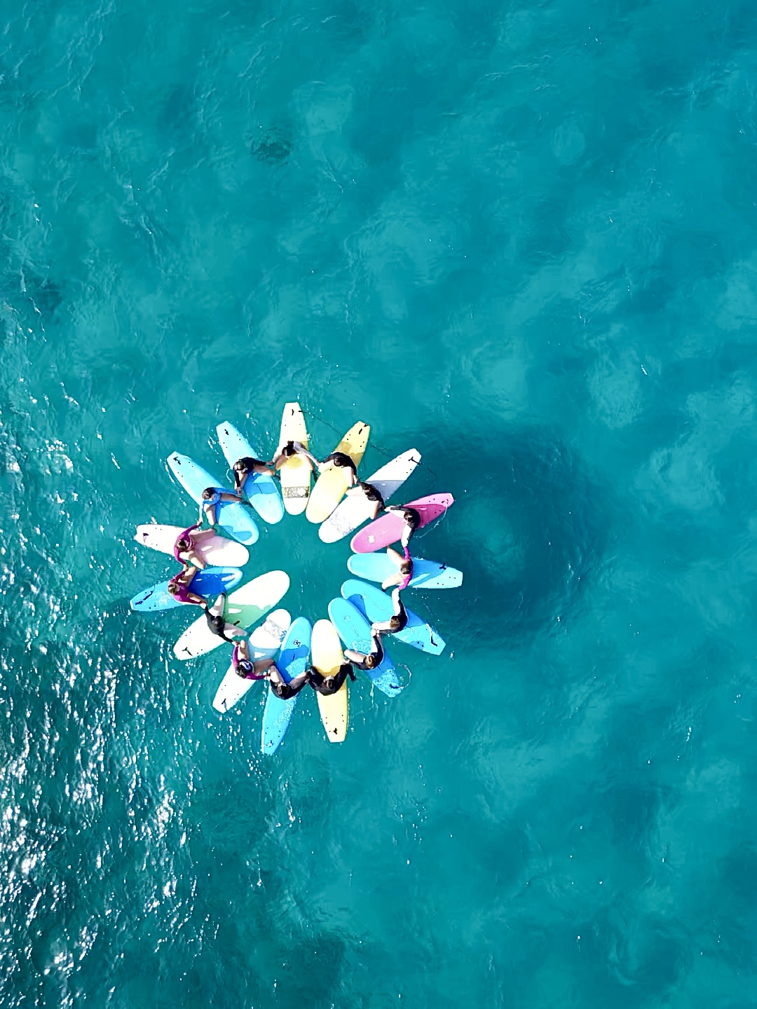 rising seasters Campaign