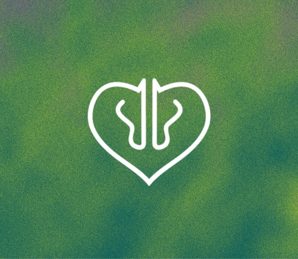 בית שני לחיילים